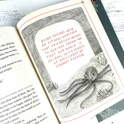 Open book with a drawing of an octopus and text on a wooden surface