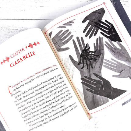 Open book with illustrations of hands and a spider on a white wooden surface