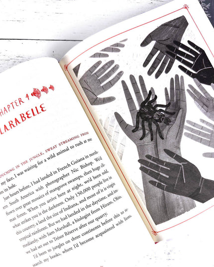 Open book with illustrations of hands and a spider on a white wooden surface