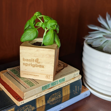 Wooden Planter Grow Kit - Basil