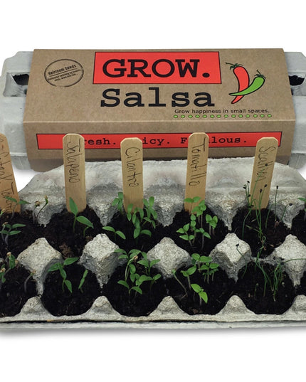 the grow salsa garden kit in action with sprouted seeds in each section of the egg carton package and labeled with the wooden plant ID sticks