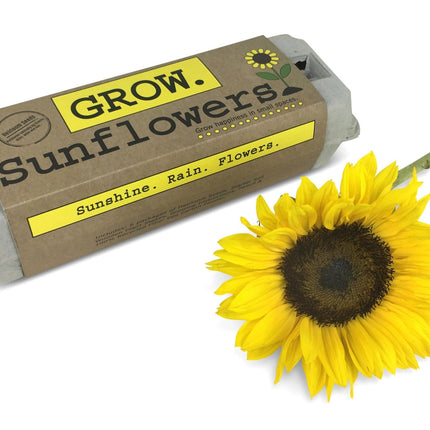 The Grow Sunflowers garden kit in package alongside a fresh cut sunflower