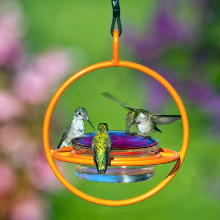 Hummble Bold Hummingbird Feeder - 3 colors