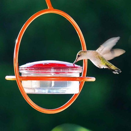 Hummble Bold Hummingbird Feeder - 3 colors