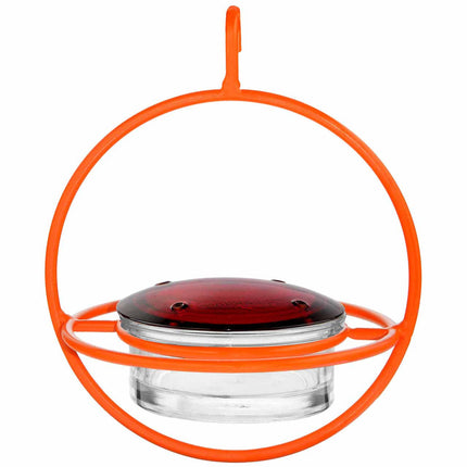 Hummble Bold Hummingbird Feeder - 3 colors