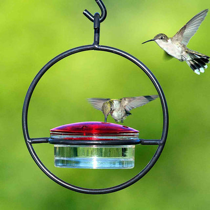 Hummble Slim Hummingbird Feeder