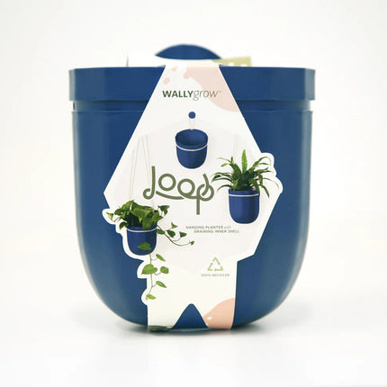 the indigo loop planter in its package: a white modern label that reads "loop" with images of the planter with and without plants