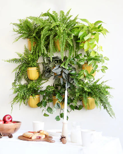 Decorative wall with potted plants and a small table with apples and bread.
