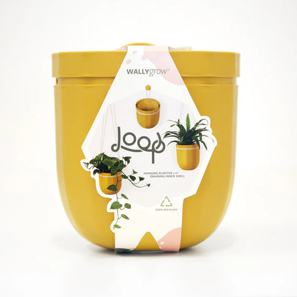 the mustard loop planter in its package: a white modern label that reads "loop" with images of the planter with and without plants