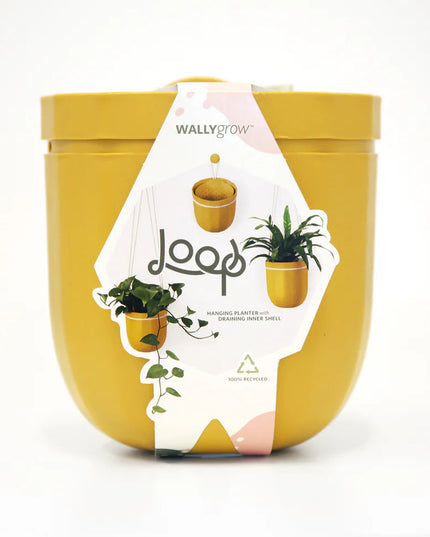 the mustard loop planter in its package: a white modern label that reads "loop" with images of the planter with and without plants