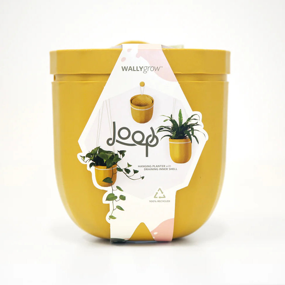 loop hanging planter Soltech Loop Hanging Planter