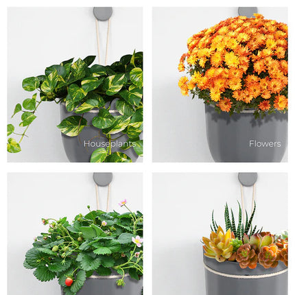a graphic of 4 images of the loop planter each with different plants showing the planter's versatility: houseplants, flowers, edibles, and succulents