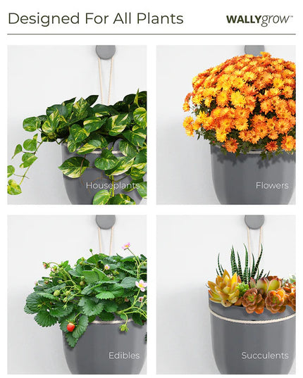 a graphic of 4 images of the loop planter each with different plants showing the planter's versatility: houseplants, flowers, edibles, and succulents