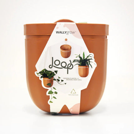 the terracotta loop planter in its package: a white modern label that reads "loop" with images of the planter with and without plants