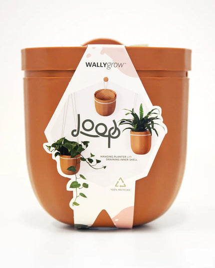 the terracotta loop planter in its package: a white modern label that reads "loop" with images of the planter with and without plants