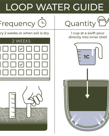 a dark green and gray infographic that shows watering instructions - to water every two weeks, and to pour 1 cup of water into the inner shell
