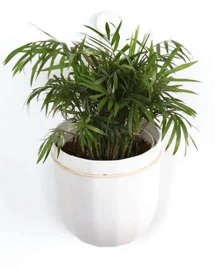 a plastic, white colored planter with a leafy green plant that hangs from a loop on the wall