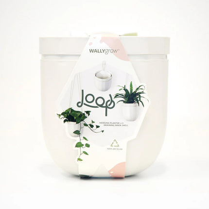 the white loop planter in its package: a white modern label that reads "loop" with images of the planter with and without plants