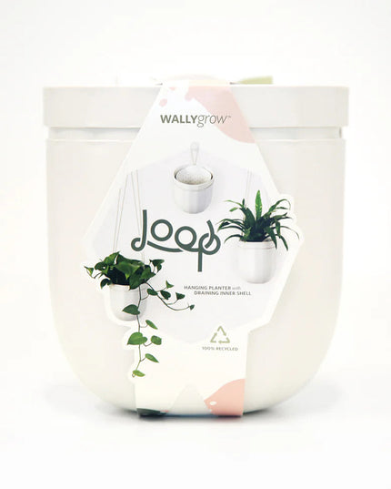 the white loop planter in its package: a white modern label that reads "loop" with images of the planter with and without plants