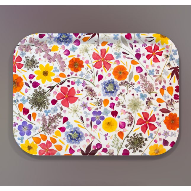 Mandevilla and Daucus - 11 x 8 Tray
