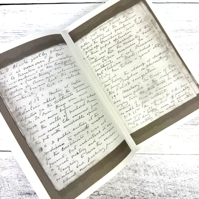 Margaret Fuller: A New American Life