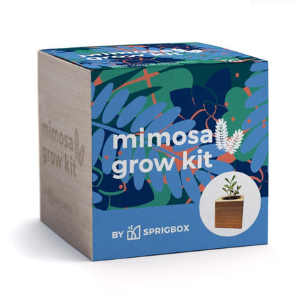 A square product box for the Mimosa Grow Kit by Sprigbox, featuring a colorful tropical leaf pattern on a blue background with a light wood-grain side panel and a small circular image of a potted plant.