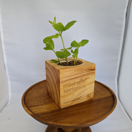 A small green mint plant in a square wooden planter engraved with 'mint sprigbox' and 'JAPAN GARDEN 2021', displayed on a round wooden stand against a white studio backdrop.