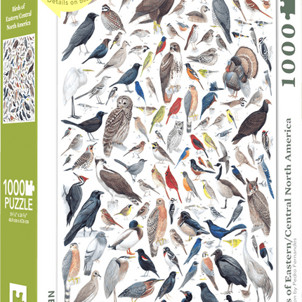 Birds of Eastern and Central North America Jigsaw Puzzle 1000 Piece