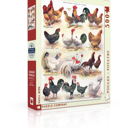 Poultry ~ Poules Jigsaw Puzzle 500 Piece