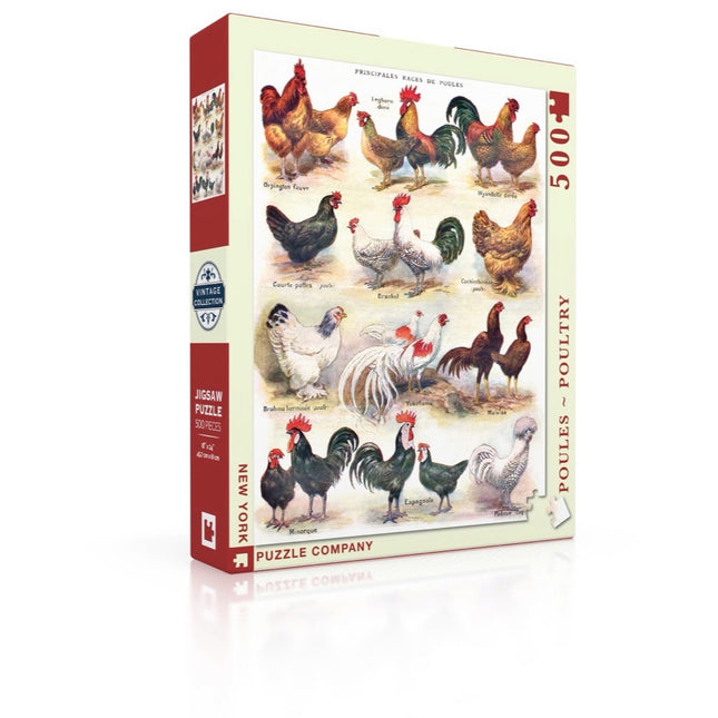 Poultry ~ Poules Jigsaw Puzzle 500 Piece
