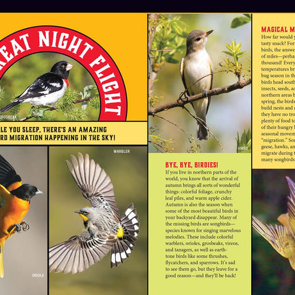 interior spread of the Almanac for Kids featuring images of birds and an article with the title "The Great Night Flight"