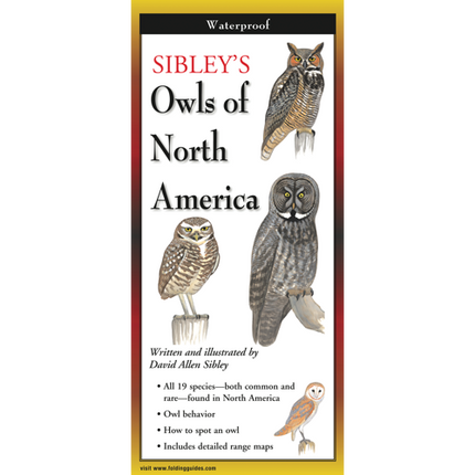 The cover image of Sibley’s Owls of North America folding guide featuring a selection of illustrations of owls against a white background