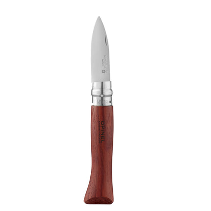 Knife with a wooden handle and silver blade on a white background