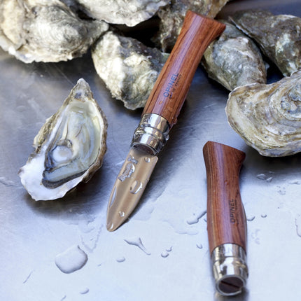 Two oyster-opening tools on a surface with oysters in the background