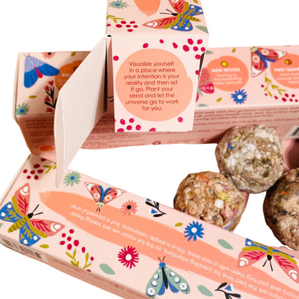 Moon Phase Wildflower Seed Planting Set