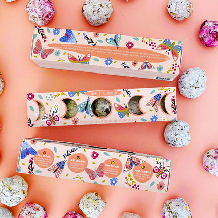 Moon Phase Wildflower Seed Planting Set