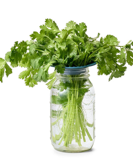 Produce Keepers - Set of 2