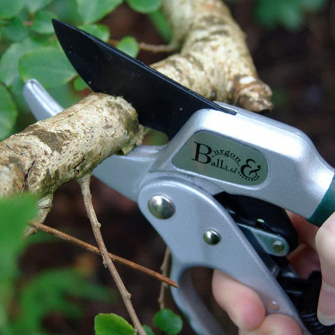 RHS Ratchet Pruner