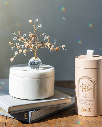 The Aqua Terra Tree of Life Suncatcher on a table in a sunny room alongside its decorative cylindrical box with multitudes of tiny rainbows cast on the wall