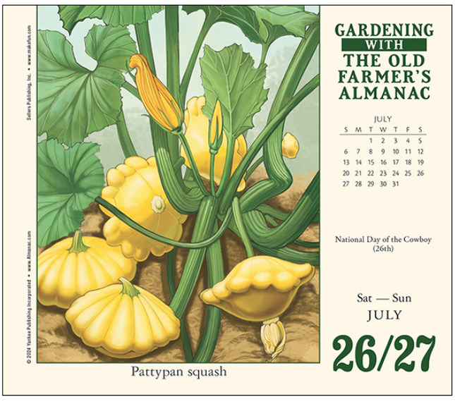 interior calendar page of the old farmer's almanac 2025 daily calendar showing the July 26/27 page featuring an illustration of patty pan squash