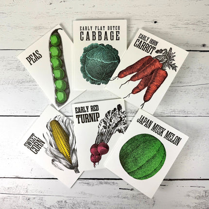 Shaker Seeds - Boxed Set of 6 Notecards