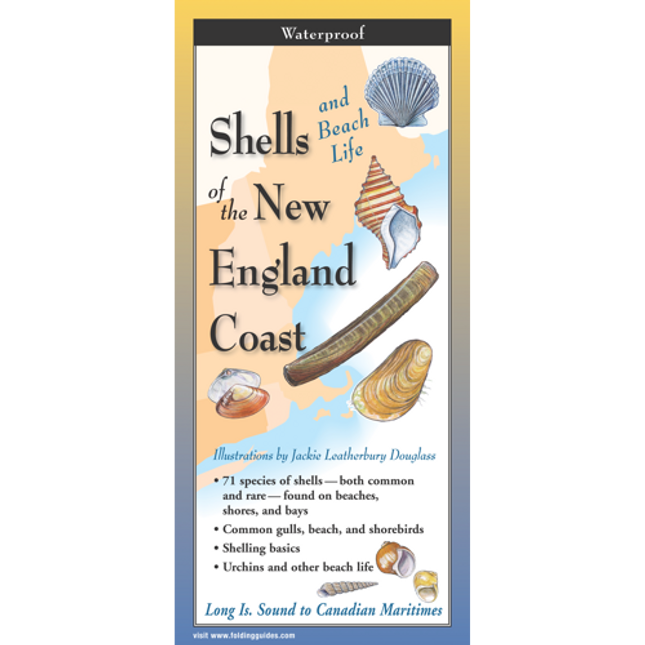 Cover image for Shells and Beach Life of the New England Coast, featuring illustrations of various types of shells against a map of the New England Coast