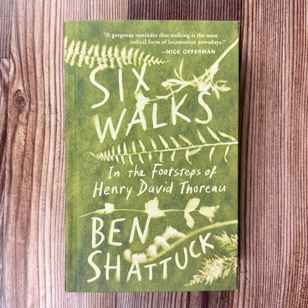 Six Walks book with green cover against a wood background