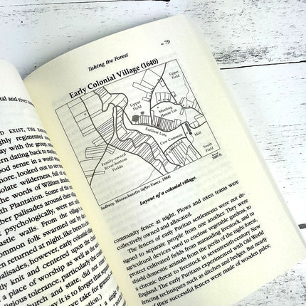 Stone by Stone: The Magnificent History in New England's Stone Walls