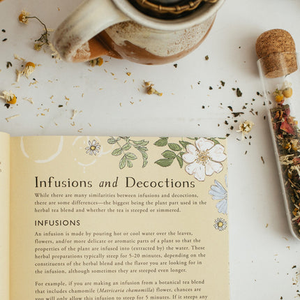 interior page of the botanical teas book open to the Infusions and Decotions page