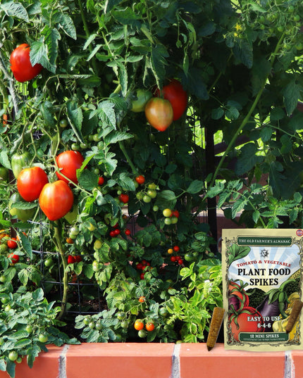 The Old Farmer's Almanac Tomato & Vegetable 6-4-6 Plant Food Spikes (12 Mini Spikes)