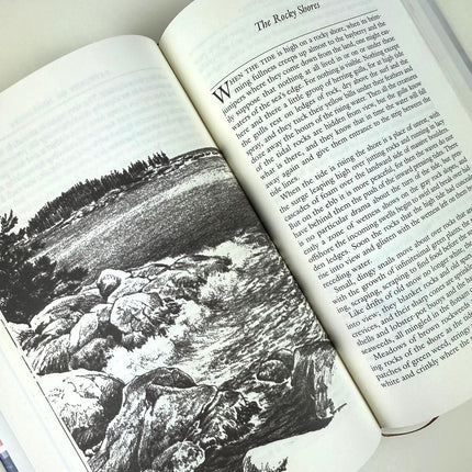 Open book with a black and white illustration of rocks and water on one page, and text on the other.