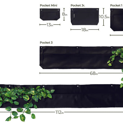 a size guide for all of the pocket wall planters showing scale and measurements for the mini, junior, 1 pocket, 3 pocket, and 5 pocket planters