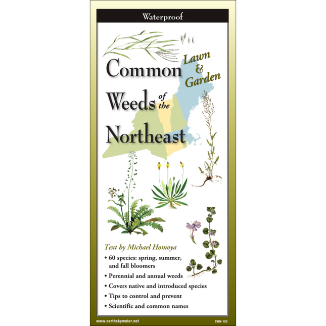The cover image of Common Weeds of the Northeast folding guide featuring a selection of illustrations of weeds against a map of the Northeastern US states