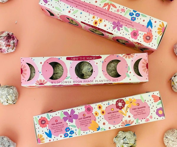 wildflower seeds new england Moon Phase Wildflower Seed Ball Planting Set – NewEngland.com Store